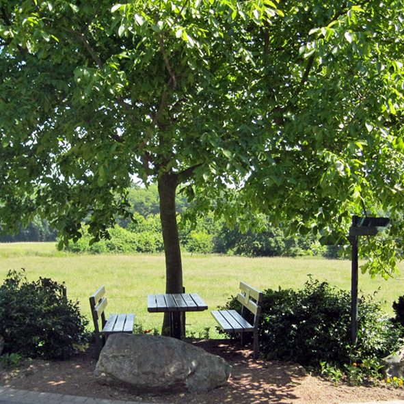 Zeit für ein Picknick